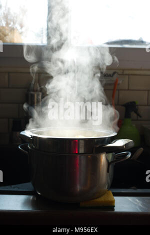 Cocción De Ollas De Vapor En La Cocina De La Casa Foto de archivo