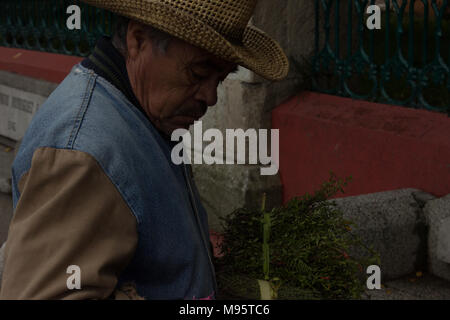 Hombre campesino vaquero en el lado del país con sombrero vaquero  occidental. Modelo masculino americano en el campo. Hombre atractivo con  whisky o brandy Fotografía de stock - Alamy