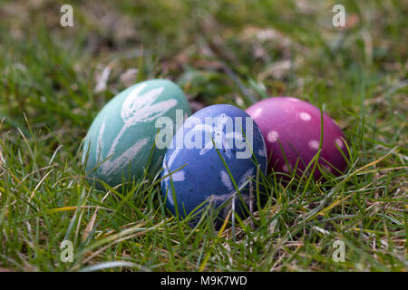 Nido de Huevos de Pascua de color natural en el jardín Foto de stock