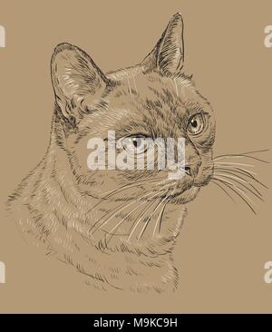 Contorno vectorial monocromo retrato de curioso gato tailandés en los colores blanco y negro. Dibujo a mano ilustración aislado sobre fondo marrón Ilustración del Vector