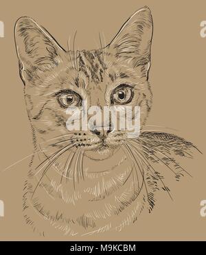 Contorno vectorial monocroma curioso retrato de Mau egipcio gato en los colores blanco y negro. Dibujo a mano ilustración aislado sobre fondo marrón Ilustración del Vector