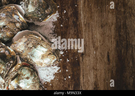 Docenas de ostras frescas en la madera y sal de mar. Vista superior Foto de stock