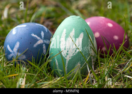 Nido de Huevos de Pascua de color natural en el jardín Foto de stock