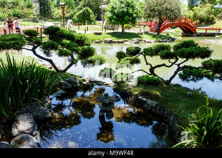Buenos Aires Argentina,Recoleta,Jardín Japonés Jardin Japones,Botánico,bonsai,Fuente,Hispana,ARG171130093