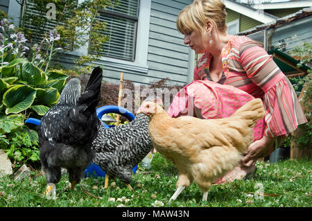 Una mujer colgando en el jardín de su casa con el pequeño rebaño de los pollos que ella utiliza para la puesta de los huevos, en Portland, Oregón. Foto de stock