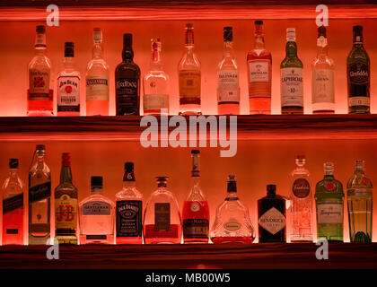 Varias botellas de whisky en la estantería de un bar, iluminado en rojo, Renania del Norte-Westfalia, Alemania
