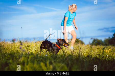Mujer caminar a su perro en una pradera