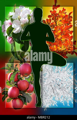 Yoga femenina figura contra collage de imágenes que representan cuatro estaciones del año. Estar sano y deportivo concepto durante todo el año. Foto de stock