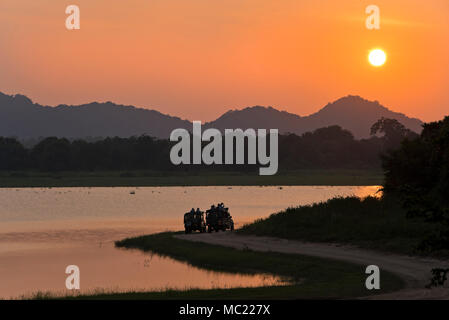Vista horizontal de turistas aparcados en la orilla del lago para ver el atardecer en el Parque Nacional de Minneriya en Sri Lanka. Foto de stock