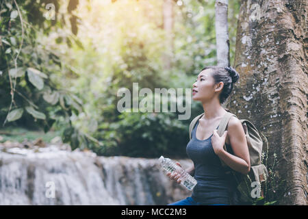 Persona de pie en cascada, inspirado viajero feliz disfrutando la naturaleza, concepto de aventura