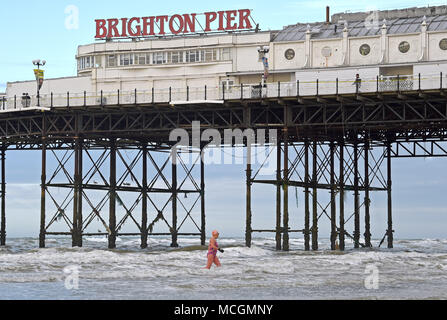 Brighton, Reino Unido 17 de abril de 2018 - Un miembro de Brighton Club de Natación en el mar por el Palace Pier de Brighton en un brillante pero ventoso temprano en la mañana . Se prevé que el clima cálido dramáticamente en los próximos días, a través de Gran Bretaña, con temperaturas espera que llegue a los 25 grados en partes del Sudeste de crédito: Simon Dack/Alamy Live News Foto de stock