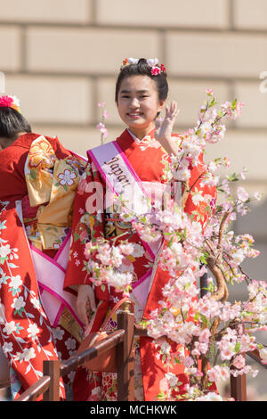 Volcán entregar Ordenador portátil Washington, D.C., Estados Unidos - 14 de abril de 2018, el japonés mujer  vistiendo un kimono de pie detrás de flores de cerezo en el Desfile  Nacional de Las Flores de Cerezo, 2018 Fotografía de stock - Alamy