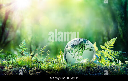Globe en Moss en Forest - concepto medioambiental