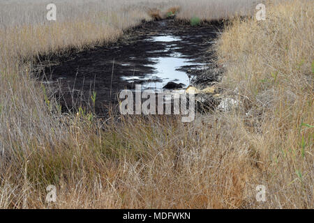 Pozo de asfalto natural en un pantano en Zakynthos, Grecia. Los manantiales de agua de alquitrán en el área fueron mencionados por el antiguo historiador Heródoto viajero. Foto de stock