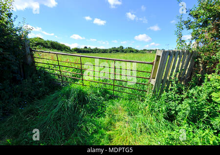 Boughton Monchelsea village, Kent, Inglaterra. Puerta metálica en un campo Foto de stock