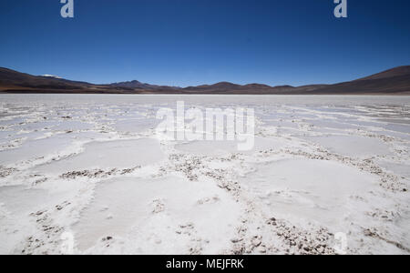 Salar de Talar en el desierto de Atacama (Chile) Foto de stock