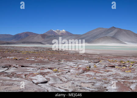 Salar de Talar en el desierto de Atacama (Chile) Foto de stock