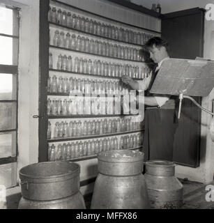 1950s, históricos, gerente de lácteos vertiendo una muestra de leche de un reciente entrega a uno de la gran cantidad de especimenes de botellas de leche en un estante. Cada botella está numerada. Así que una muestra de la leche entregada a cada agricultor puede tomarse y comprobado. Foto de stock