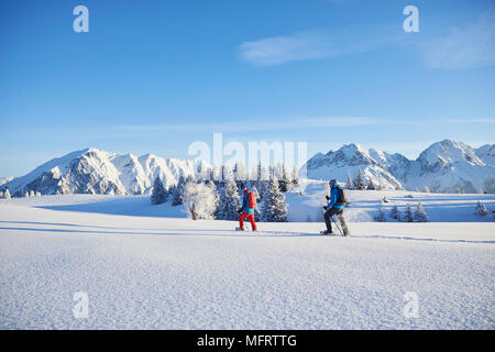 Las raquetas de nieve, senderismo en el paisaje invernal, latentes Alm, Obsteig, Mieming, Tirol, Austria Foto de stock