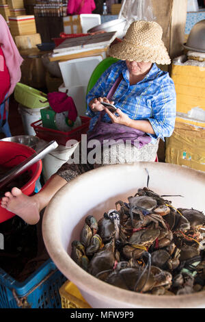 Cham a la mujer en un sombrero de paja vendiendo cangrejos en Kep mercado cangrejo Foto de stock