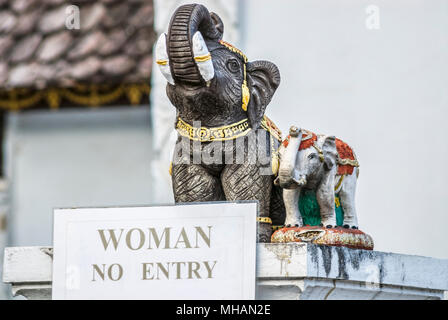 Ninguna mujer letrero y figurillas de elefante en el templo budista Wat Chedi Luang, Chiang Mai, Tailandia