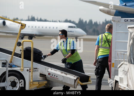 Agentes de rampa de descarga del equipaje desde un avión en el aeropuerto internacional de Seattle Tacoma, Washington. Foto de stock