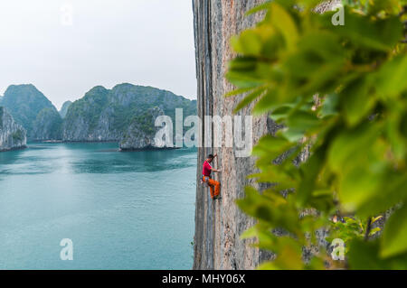 Hombre, la escalada en roca caliza, la bahía de Ha Long, Vietnam