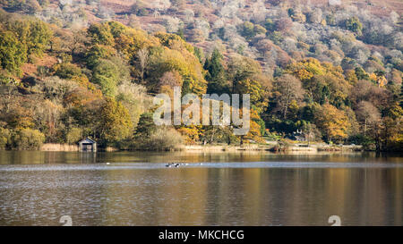 Los árboles mostrando los colores de otoño se reflejan en Rydal Water lake en Inglaterra's Lake District National Park. Foto de stock
