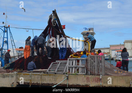 La tripulación de un cerquero recopila sus redes en el puerto pesquero de Olhão, Algarve, Sur de Portugal Foto de stock