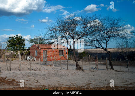Humilde casa de ladrillo en el medio de la caatinga, la vegetación típica del nordeste de Brasil Foto de stock