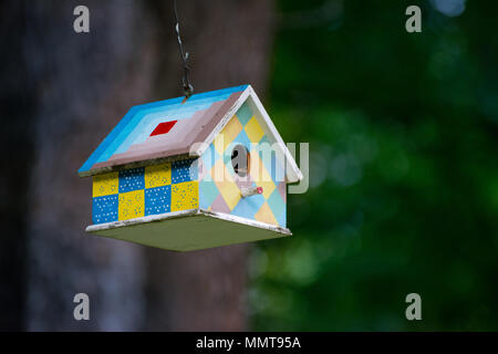 Una casita para aves coloridas colgando de una rama de árbol Foto de stock