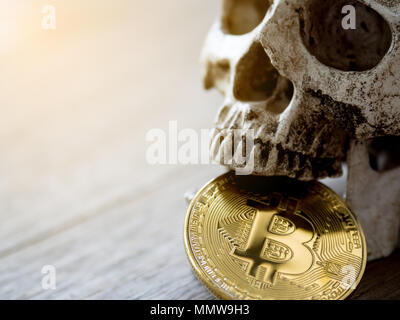 Cerca del cráneo morder bitcoin dorado sobre mesa de madera. El concepto de inversión y de fluctuación y cryptocurrency bitcoin. La sensación de disap Foto de stock