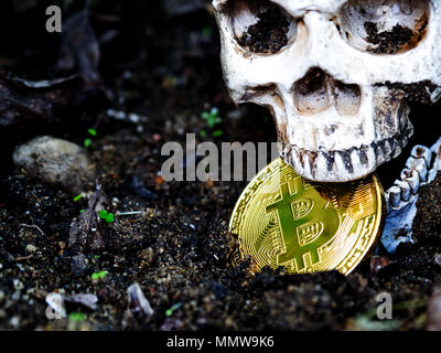 Cerca del cráneo morder bitcoin en el suelo hojas secas en el suelo y el lateral del cráneo y Golden bitcoin. El concepto de inversión y fl. Foto de stock