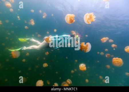 Fotografía submarina de mujer turísticos buceo con endémica golden medusas en el lago en el Palau