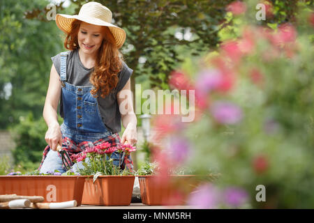 El jengibre, una mujer sonriente, con sombrero y petos plantar flores en macetas utilizando herramientas de jardinería