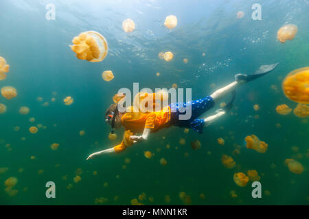 Fotografía submarina de buceo con niños sin aguijón endémica medusas en el lago en el Palau.