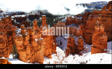 Bryce Canyon National Park, Utah, EE.UU. el invierno, la nieve fresca Foto de stock