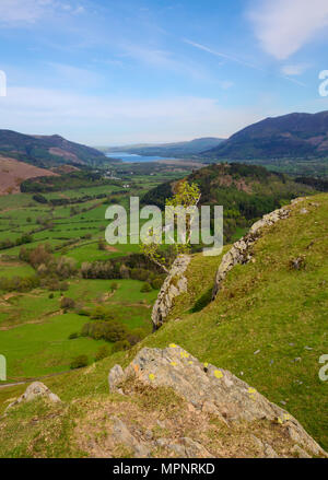 Mirando hacia abajo desde Catbells sobre el valle de Newlands en el Lake District en Cumbria Foto de stock