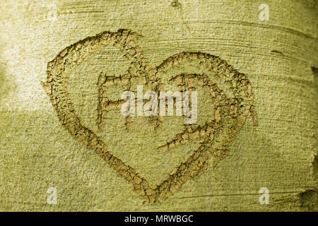 Corazón tallado en corteza de árbol con letras A+D, Alemania Foto de stock