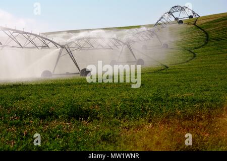 Riego agrícola aspersores riego cultivos Fotografía de stock - Alamy