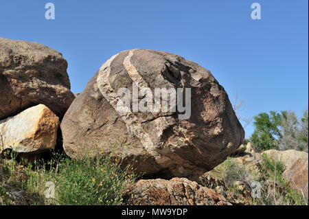 Rock con vena Aplitic monzogranito, Cool Canyon, Anza-Borrego State Park, CA 35216 100327 Foto de stock