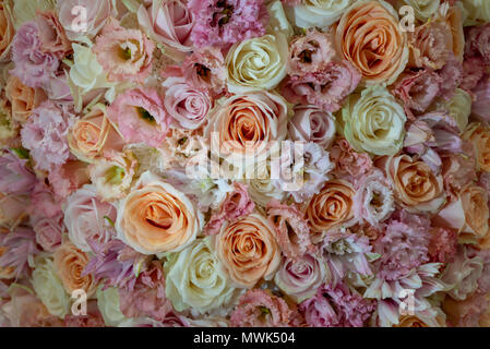 Una hermosa pantalla de flores de color pastel.