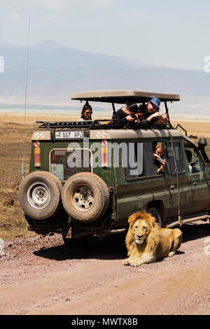 Los turistas en un juego duro mirando un león (Panthera leo), el Área de Conservación de Ngorongoro Crater, UNESCO, Tanzania, África oriental, África