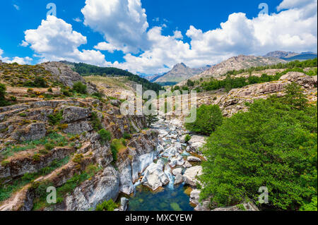 Stream y Cordillera en Córcega, Francia en primavera Foto de stock