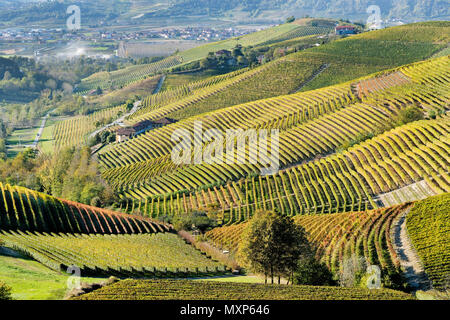 Italia, el panorama de los viñedos de Piamonte: Langhe-Roero y Monferrato en la Lista del Patrimonio Mundial de la UNESCO. Paisaje en otoño cerca de Barbaresco Italia, Pi Foto de stock