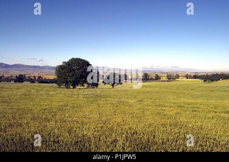La Bureba; paisaje mesetario entre Briviesca y Poza de la Sal. Foto de stock