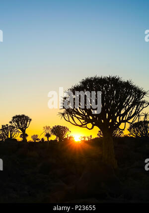 Tonos dorados como sol amaneciendo sobre terreno escarpado de carcaj Tree Forest, Namibia Foto de stock