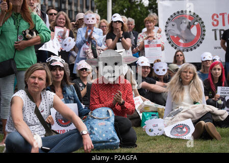 Londres, Reino Unido. El 14 de junio de 2018. Cientos de manifestantes y los derechos de los animales MP rally demanda para detener el transporte de animales vivos de 2018 sufrimiento innecesario en la Plaza del Parlamento el 14 de junio de 2018, Londres, Reino Unido. Crédito: Ver Li/Alamy Live News