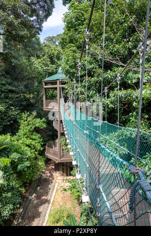 El Parque Ecológico de KL Bosque Canopy Walk en Kuala Lumpur, Malasia Foto de stock