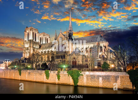 Al anochecer, la catedral de Notre Dame en París, Francia Foto de stock